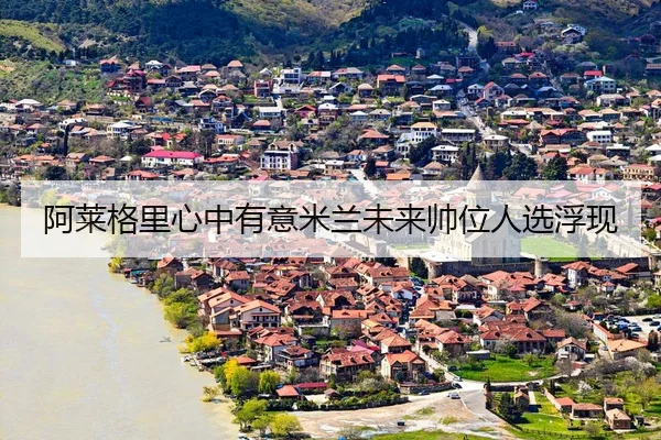 a-lai-ge-li-xin-zhong-you-yi-mi-lan-wei-lai-shuai-wei-ren-xuan-fu-xian-3-924.jpg