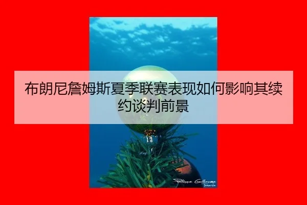 布朗尼詹姆斯夏季联赛表现如何影响其续约谈判前景