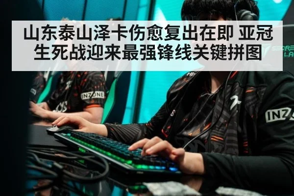山东泰山泽卡伤愈复出在即 亚冠生死战迎来最强锋线关键拼图